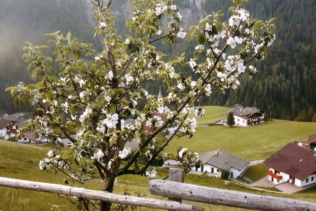 Agriturismo Apartments Tuene Ortisei Exterior photo